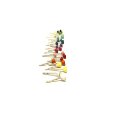 Laden Sie das Bild in den Galerie-Viewer, COLOURFOOL Ohrstecker mit Brillant